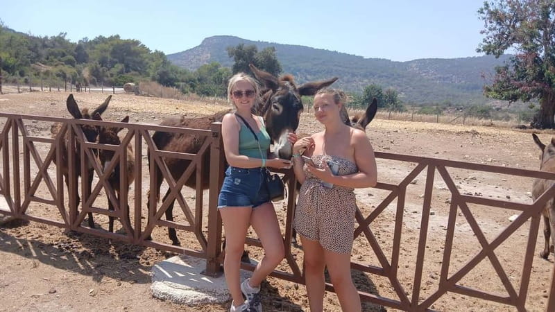 Paphos: Avakas Gorge & Turtle Bay Jeep Tour with Donkey Farm - Price and value: why $57 can make sense here