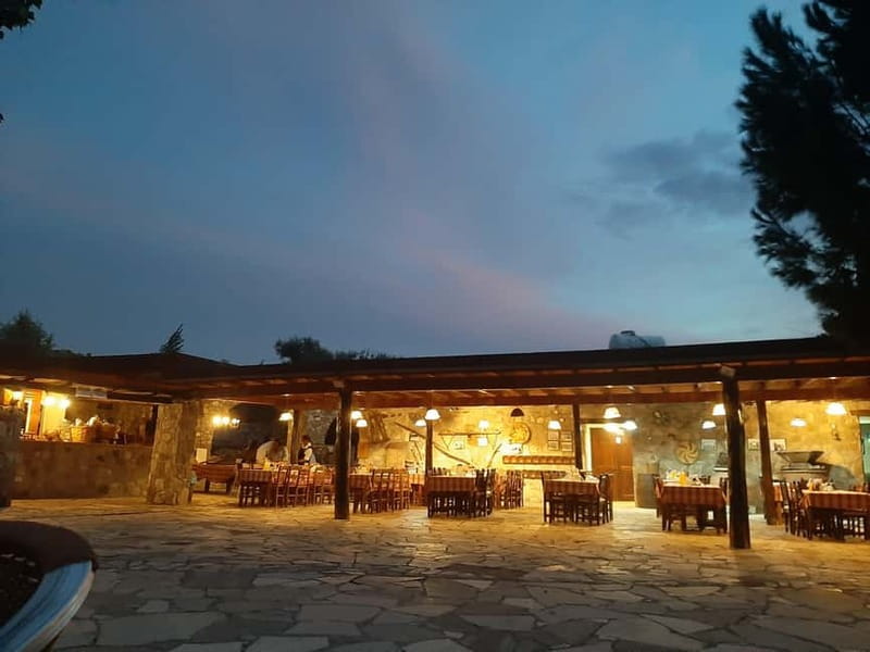 Paphos/Limassol: Donkey Farm Day Trip with Lunch & Tastings - Who This Tour Suits Best