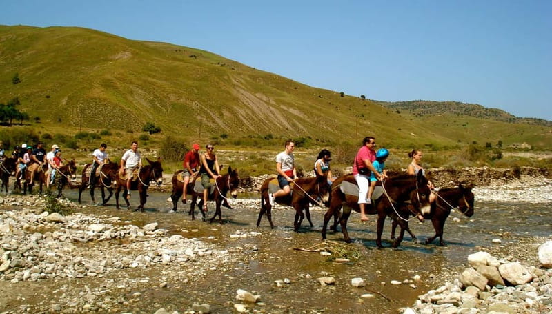 Paphos/Limassol: Donkey Farm Day Trip with Lunch & Tastings - Pickup From Paphos and Limassol Without the Headache