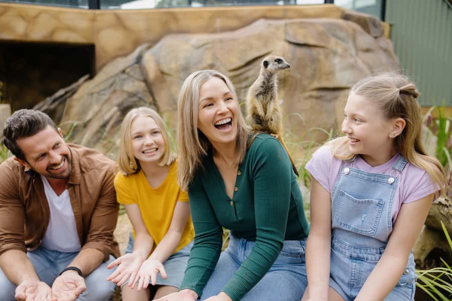 Paradise Country: Ultimate Aussie Farm Experience - Quick Take: Key Highlights That Matter