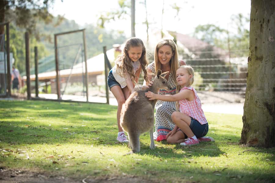 Paradise Country: Ultimate Aussie Farm Experience - Where Paradise Country Is (and Why It’s Easy)