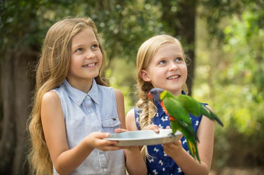 Paradise Country: Ultimate Aussie Farm Experience - Arriving at the Farm: How the Day Flows