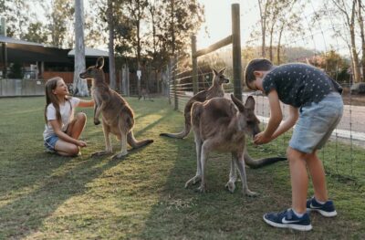 Paradise Country: Ultimate Aussie Farm Experience - What Your $41 Admission Covers (and What It Doesn’t)
