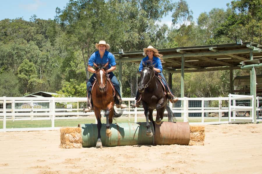 Paradise Country: Ultimate Aussie Farm Experience - Baby Animal Nursery: Your First Up-Close Hit