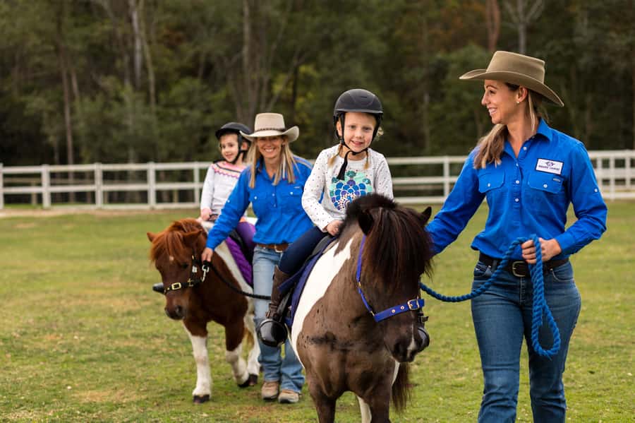 Paradise Country: Ultimate Aussie Farm Experience - Koalas, Kangaroos, and the Sanctuary Side