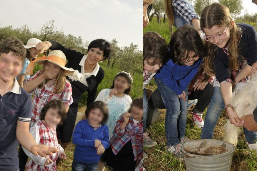 Partinico: Farm's Animals and Aromatic Garden Experience - Meet the Animals Up Close: Donkey Walks, Feeding Chickens, Goat Milking