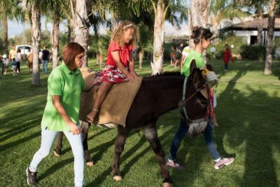 Partinico: Farm's Animals and Aromatic Garden Experience - Walking the Olive, Citrus, and Vineyard Paths Near Augusta