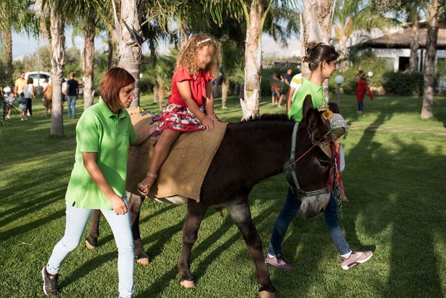 Partinico: Farm's Animals and Aromatic Garden Experience - Walking the Olive, Citrus, and Vineyard Paths Near Augusta