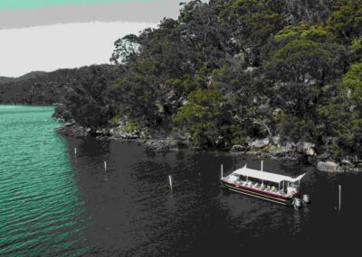 Pearl & Oyster Farm Hawkesbury River Cruise - Broken Bay Pearl Farm Tour: Seeing the Lifecycle Up Close