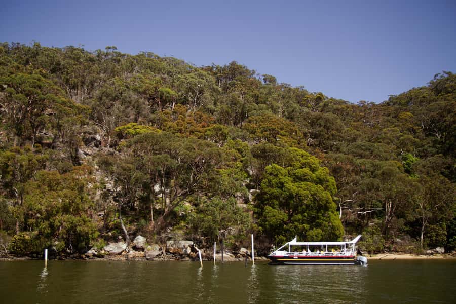 Pearl & Oyster Farm Hawkesbury River Cruise - Who Should Book This Cruise (and Who Might Skip It)
