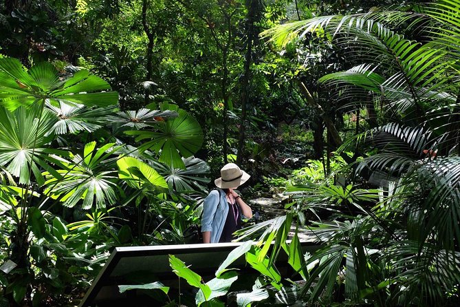 Penang Round Island Tour With Tropical Spice Garden & Entopia Butterfly Farm - Private transport with pickup and drop-off that actually saves energy