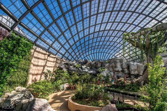 Penang Round Island Tour With Tropical Spice Garden & Entopia Butterfly Farm - Why a second batik stop can be part of the value