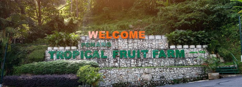 Penang: Tropical Fruit Farm Ticket - Key Highlights to Know Before You Go