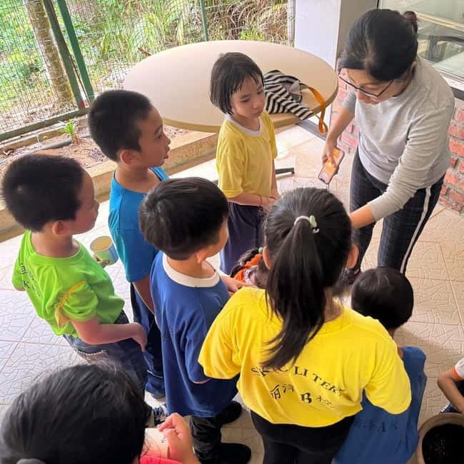 Penang: Tropical Fruit Farm Ticket - Price and Value: Is $7 Worth It?