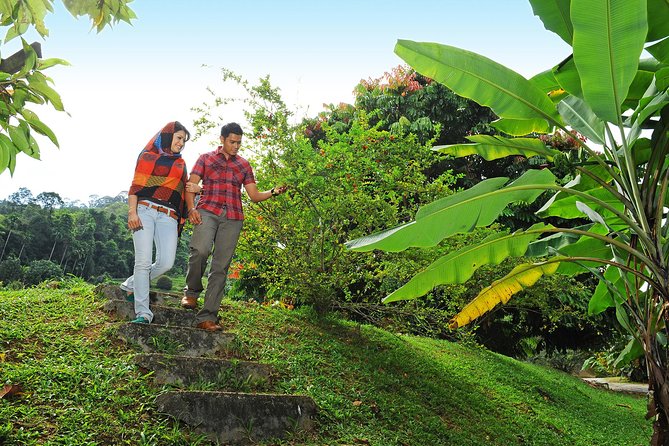 Penang Tropical Fruit Farm with Fruit Tasting - Who should book this fruit farm stop?