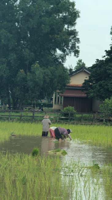 Pepper farm guided tour, Kep/Crab Market, salt & secret lake - Benicàssim visit: another guided look at the region’s everyday rhythm