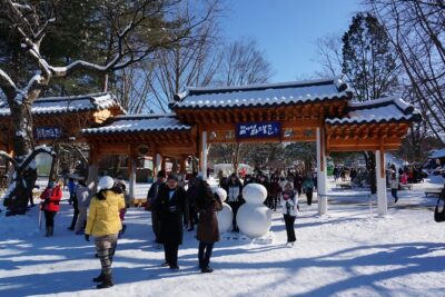 [Perfect Private Tour] Nami island, Petite France and Organic Strawberry Farm - Price and What You Really Get for $198