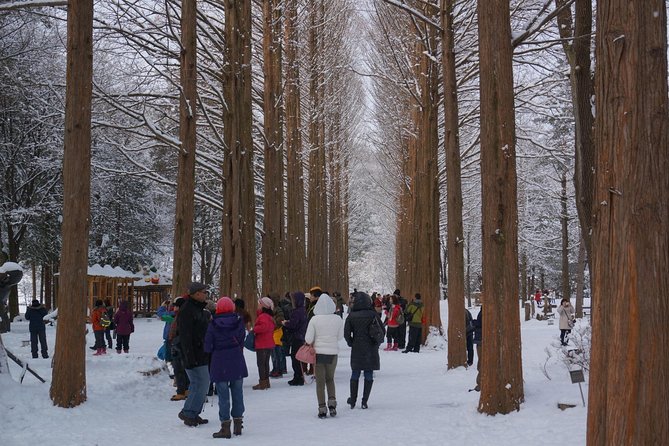 [Perfect Private Tour] Nami island, Petite France and Organic Strawberry Farm - Aram Berry Farm for About 3 Hours: Organic Strawberry Picking That Feels Real