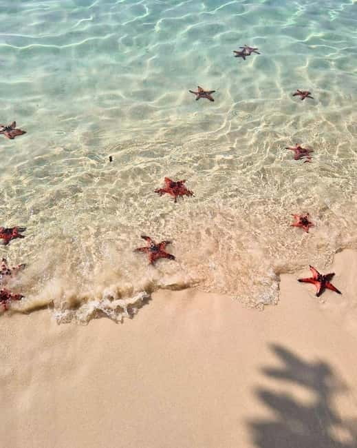 Phu Quoc: Kayaking with Starfish Beach and Bee Farm Tour - Key things I’d plan around