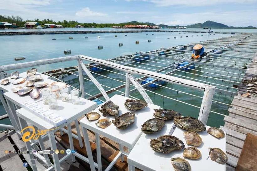Phuket: Highlights Tour with Pearl Farm & Elephant Village - What to Bring (So the Day Doesn’t Turn Into a Burden)