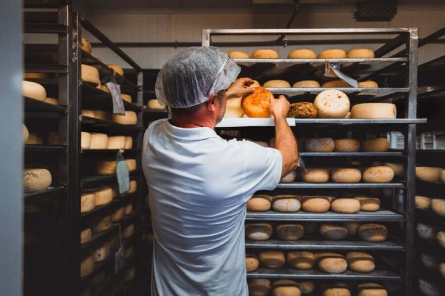 Pienza: Dairy Farm Tour with Pecorino Cheese Tasting - Val d’Orcia Near Pienza: Why This Pecorino Farm Tour Works
