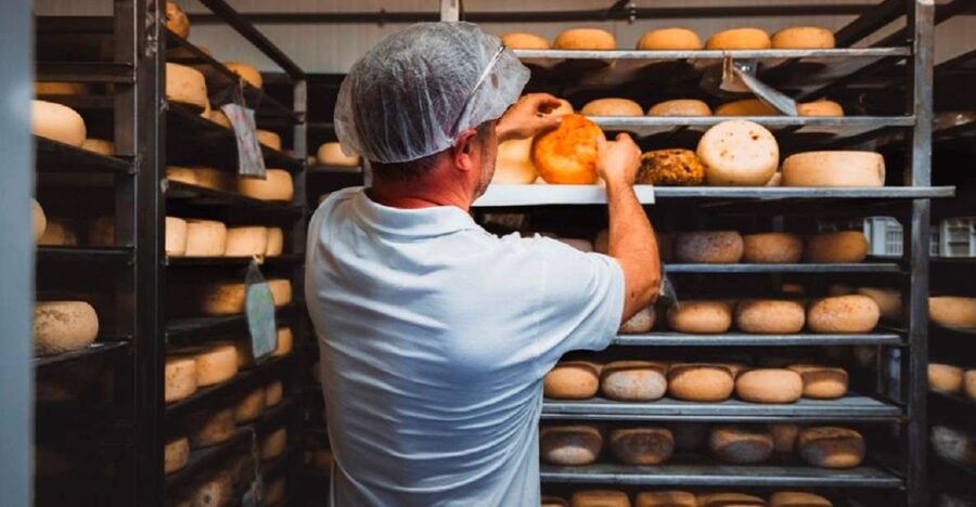 Pienza: Dairy Farm Tour with Pecorino Cheese Tasting - How to Taste Like You Mean It (Without Turning It Into Homework)