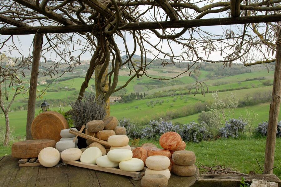 Pienza: Dairy Farm Tour with Pecorino Cheese Tasting - FAQ