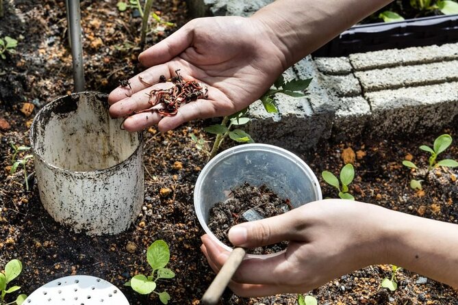 Pokhara: Organic Farm Tour and Cooking Class at Durku - Harvest-to-meal: turning fresh farm ingredients into Dhido, Gundruk, and more