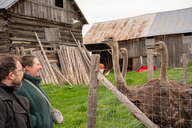 Pontiac Farm Tour - Day Trip From Ottawa & Gatineau - Key Highlights Worth Booking