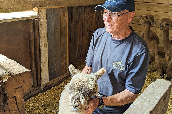 Pontiac Farm Tour - Day Trip From Ottawa & Gatineau - Stop 2: Ferme Ostribee Ostrich Farm for Close-Up Animal Time