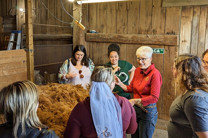 Pontiac Farm Tour - Day Trip From Ottawa & Gatineau - Stop 4: Les Alpagas de Willow Lane for Baby Alpaca Magic