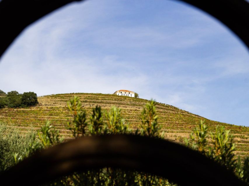 Porto: 3 Wine Regions & Farm Lunch with Views Small-Group - Price and Value: Is $118 Worth It?
