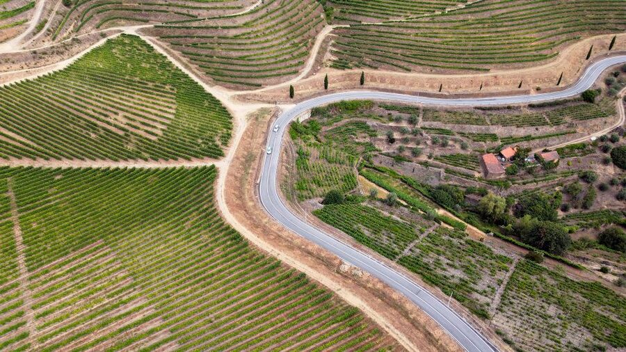 Porto: 3 Wine Regions & Farm Lunch with Views Small-Group - The First Estate: Port and DOC Douro Tastings With Local Insight