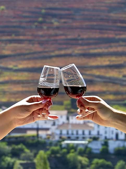 Porto: 3 Wine Regions & Farm Lunch with Views Small-Group - What Makes the Tastings Different: Port vs DOC Douro