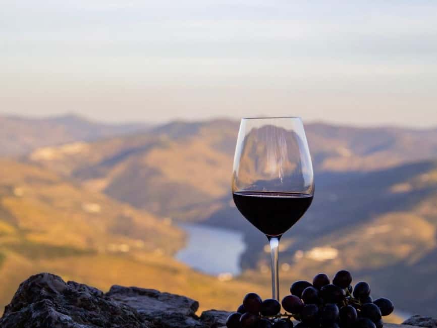 Porto: 3 Wine Regions & Farm Lunch with Views Small-Group - Transport and Comfort: Private Vehicle, Protected Spaces, and Heat Control