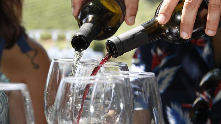 Porto: 3 Wine Regions & Farm Lunch with Views Small-Group - Getting Started: Pickup at Trindade and the Morning Rhythm