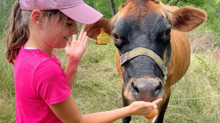 Prague: Bohemian Uplands Garnet Panning&Animal Farm 4WD Tour - How Much Time You’ll Spend Where (What Feels Fast vs. Slow)