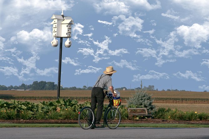 Premium Amish Country Tour including Amish Farm and House - Stop on the farm grounds: schoolhouse, animals, crafts, and walking time