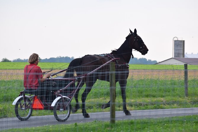 Premium Amish Country Tour including Amish Farm and House - Who should book this Premium Amish Country Tour?