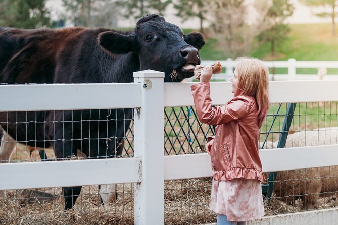 Premium Amish Country Tour including Amish Farm and House - The minibus ride through Amish countryside: narration, photo chances, and comfort
