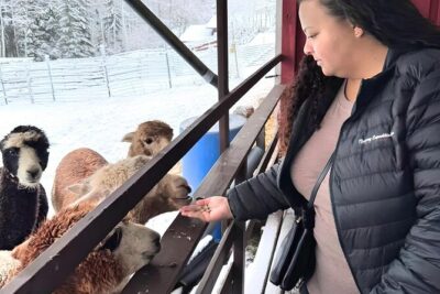 PRIVATE Alpaca Guided Forest Walk + Feeding Helsinki - Door-to-Door Pickup to Klaukkala (and Why It Matters)