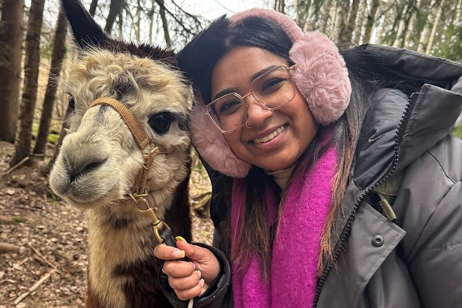 PRIVATE Alpaca Guided Forest Walk + Feeding Helsinki - Your Own Alpaca Leads the Forest Walk