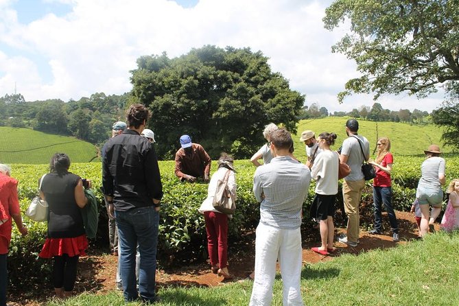 Private Day Trip to Kiambethu Tea Farm in Limuru from Nairobi - Nairobi to Limuru: the drive that actually sets the tone