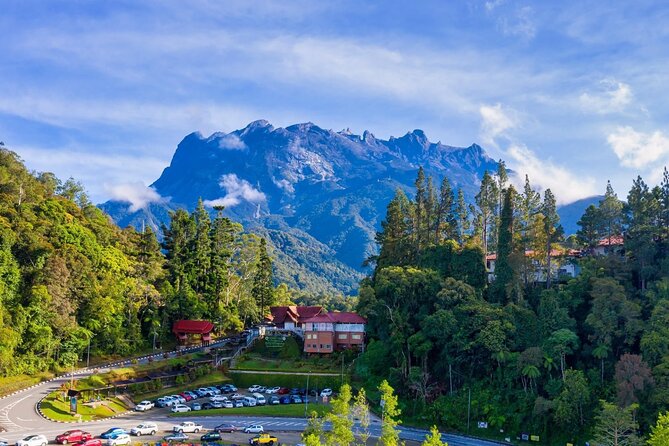 Private Desa Dairy Farm, Kinabalu National Park, Hot Spring & Canopy Walk Tour - Key Things I’d Bet You’ll Care About