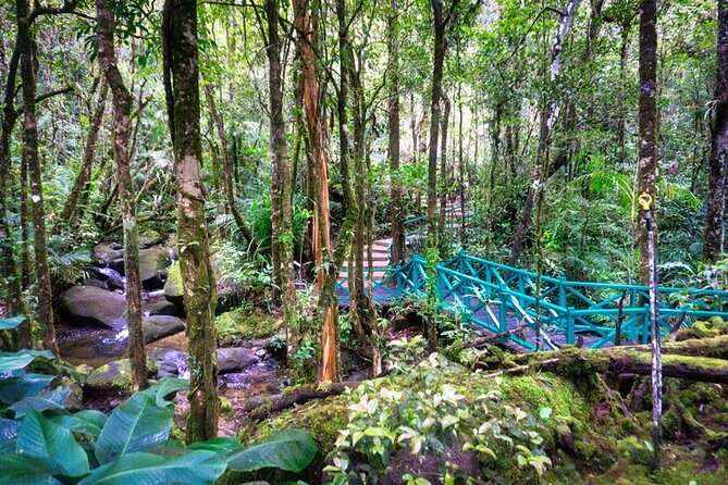 Private Desa Dairy Farm, Kinabalu National Park, Hot Spring & Canopy Walk Tour - Price and Value: What $139 Buys You (and What It Doesn’t)