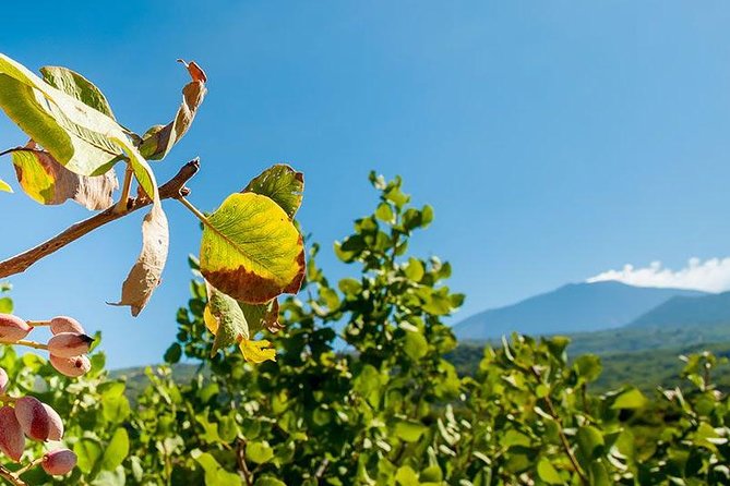 Private Etna tour and pistachio lunch in a pistachio farm - The Mt. Etna Morning: Craters, Lava Fields, and Caves
