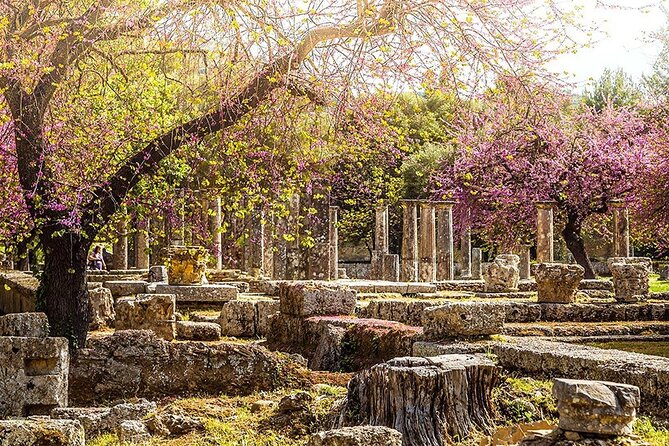 Private Excursion to Ancient Olympia - bee farm & winery - Katakolo to Olympia: the day starts easy