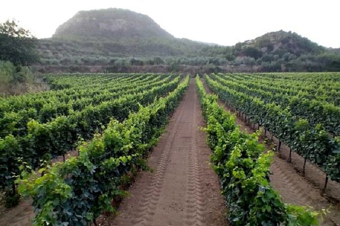 Private Excursion to Ancient Olympia - bee farm & winery - Market of Ancient Olympia: your built-in pause