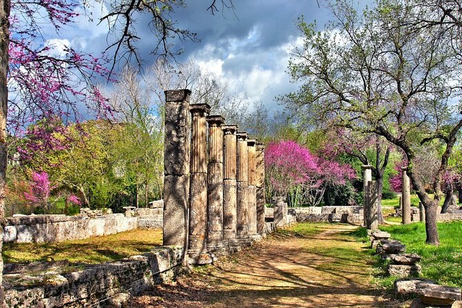 Private Excursion to Ancient Olympia - bee farm & winery - Olympia Land Winery: optional, but fun if you like tastings