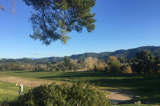 Private Excursion to Ancient Olympia - bee farm & winery - Klio’s Honey Farm: spoon sweets, diples, and bee facts